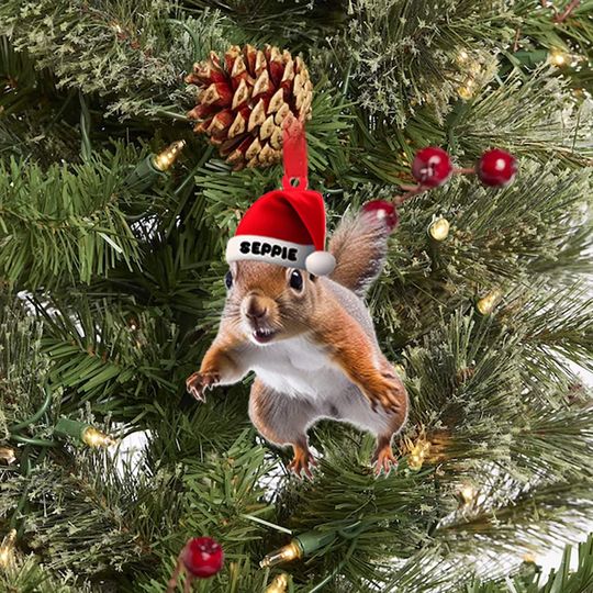 Discover Personalized Christmas Squirrels Acrylic Ornamnet, Funny Christmas Tree