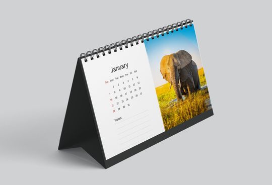 Discover Elephant 2024 Desk Calendar