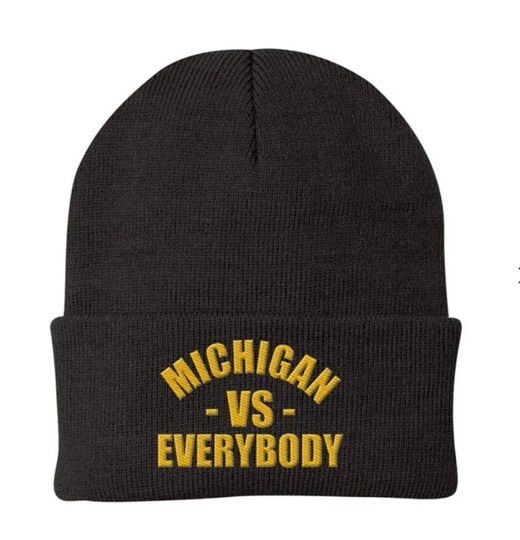 Discover Michigan vs Everybody Beanie