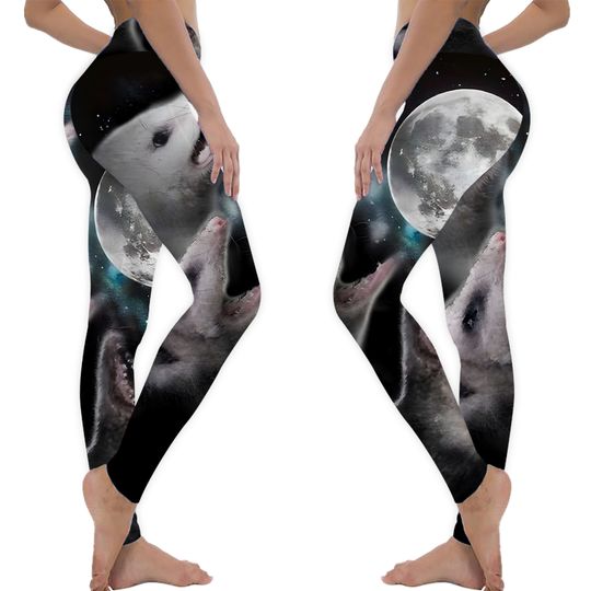 Discover Possum moon | Leggings