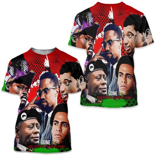 Discover Visionaries Revolutionaries Black Panthers Malcolm 3D T-Shirt