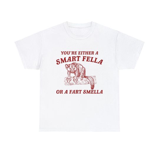 Discover You're Either A Smart Fella Or A Fart Smella T-Shirt, funny shirt