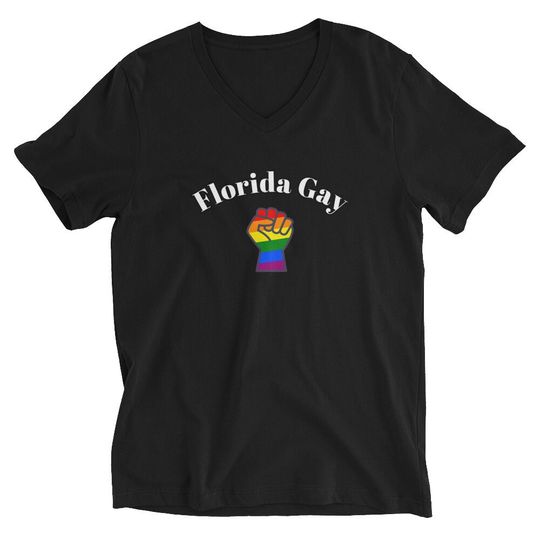 Discover Florida Gay Unisex V-Neck T-Shirt