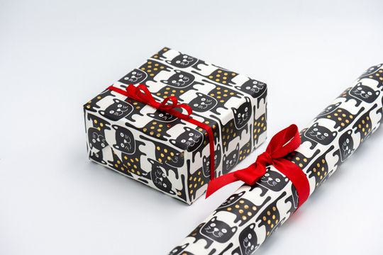 Discover Kitty Gift Wrapping Paper with Gold accents