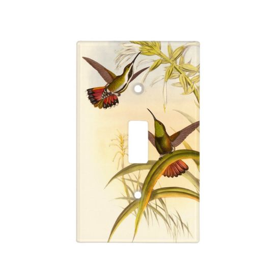 Discover Colorful Hummingbirds Light Switch Cover
