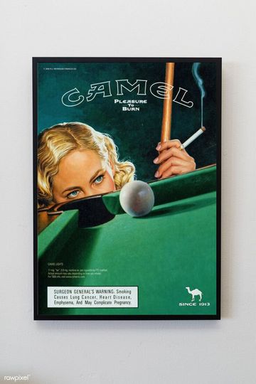 Discover Vintage Camel Poolhall Pinup Poster