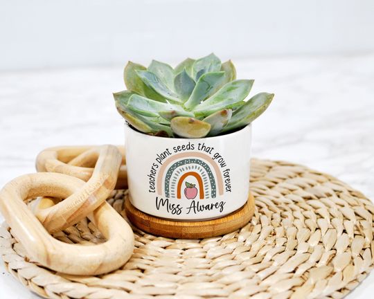 Discover Teachers Plant Seeds, Mini Succulent Pot, Daycare Teacher Gift, Teacher Appreciation Gift