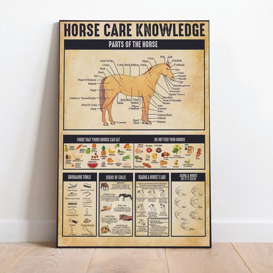 Discover Horse Care Knowledge Poster Premium Matte Vertical Poster