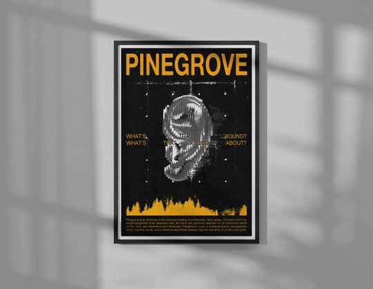 Discover Pinegrove Poster | Music Poster | Wall Art | Wall Decor