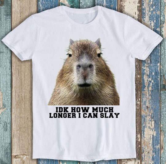 Discover Idk How Much Longer I Can Slay Capybara Sarcastic Dan Meme Gift