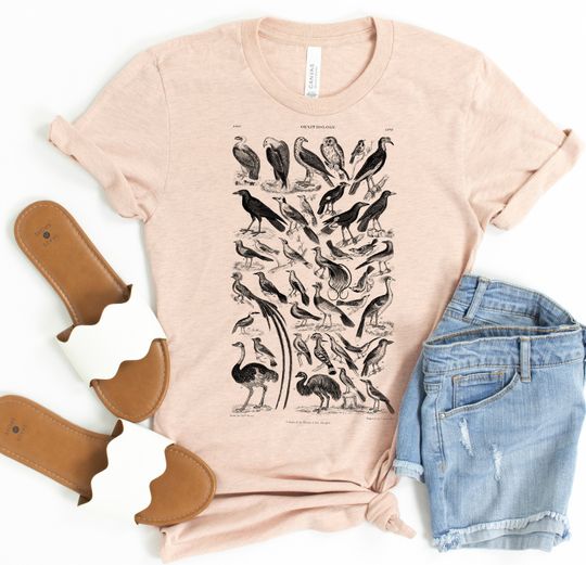 Discover Vintage Bird Biology T-Shirt Birdwatching, Bird Lover Gift