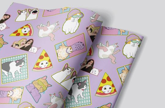 Discover Cat Meme Wrapping Paper - Funny Joke Y2K Gift