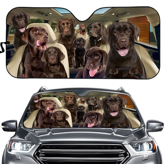 Discover Chc3011 Labrador Retriever Car Sun Shade
