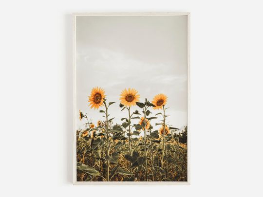 Discover Sunflower Field, Boho Sunflower Print, Yellow Flower Poster