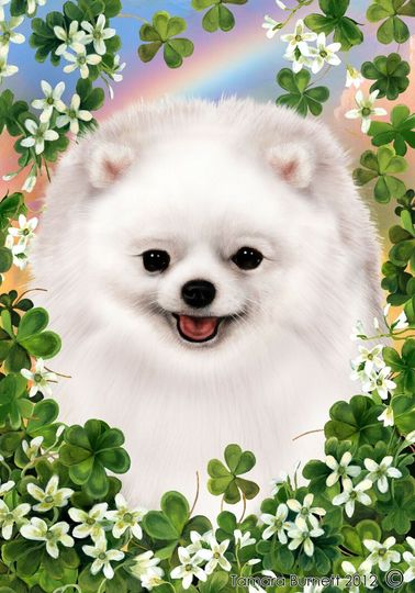 Discover Pomeranian St Patrick's Day Garden Flag, Lucky Flag, St Patrick's Day Home Decor
