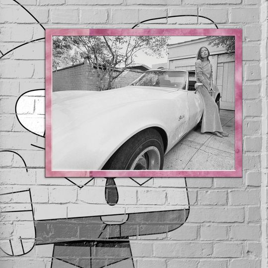Discover Joan Didion – Why I Write Premium Matte Vertical Poster