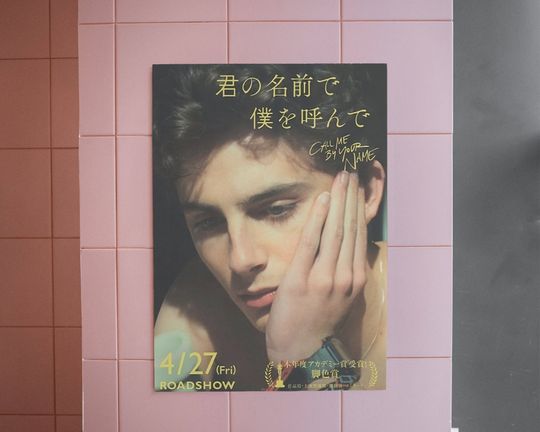Discover Call Me by Your Name Movie Poster, Modern Movie Poster