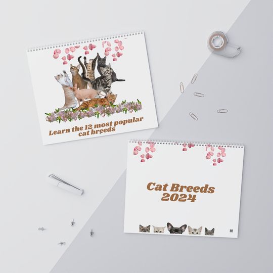 Discover Cat Diversity Calendar 2024 Kitty Kingdom Wall Calendar