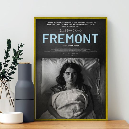 Discover Fremont Vintage 2024 Movie Poster