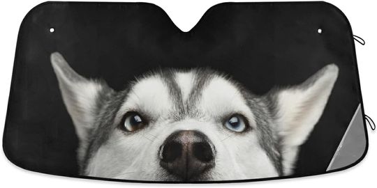 Discover Funny Husky Dog Car Sun Shades