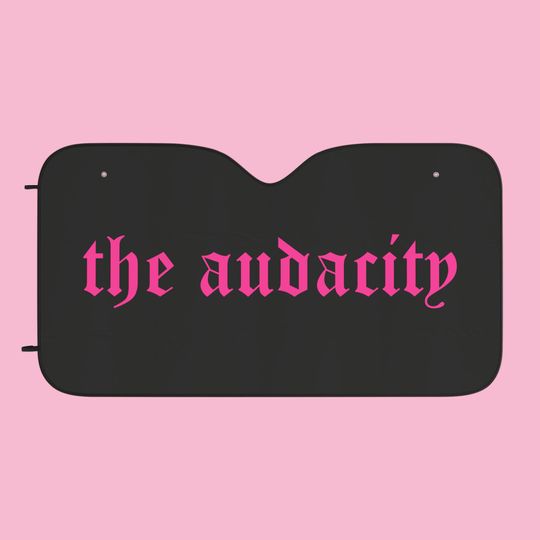 Discover The Audcity Car Sun Shades, Pink Funny Car Decor