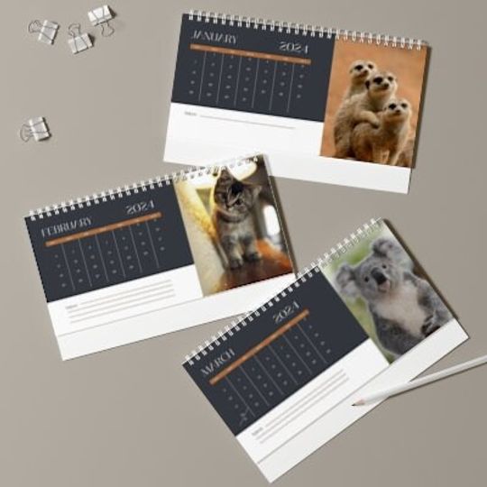 Discover 2024 Animal Desktop Calendar