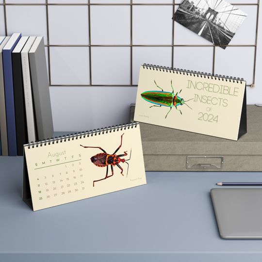Discover Incredible Insects of 2024 Desk Calendar