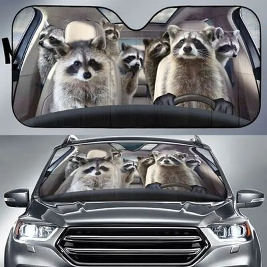 Discover Raccoon Safe And Driver Auto Sun shade