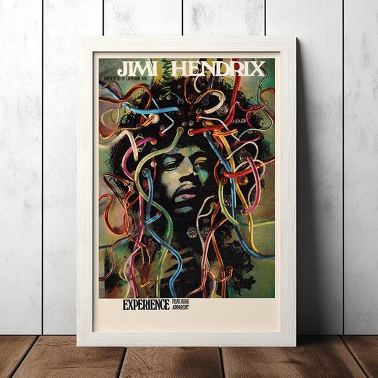 Discover Jimi Hendrix Experience 1969 Wire-Hair Concert Poster