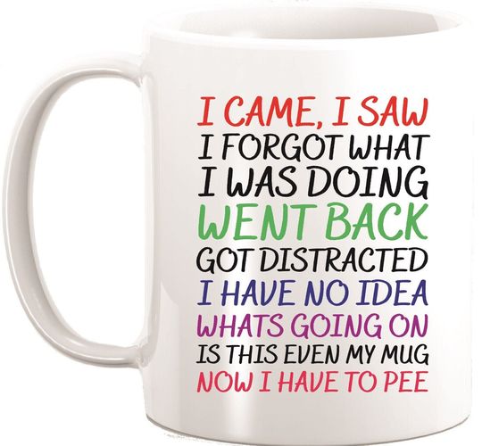 Discover I Came I Saw I Forgot Funny Novelty Coffee Mug 11OZ