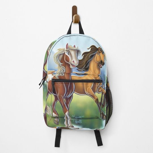 Discover Spirit and Rain Backpack
