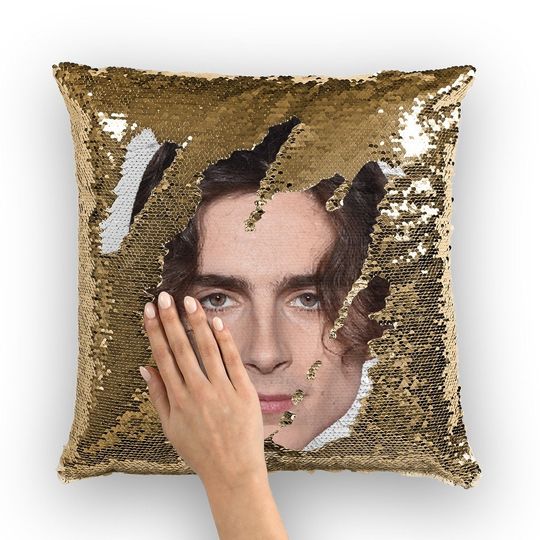 Discover Timothe Chalamet Sequin Pillow |