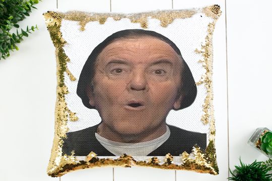 Discover WOW Meme Sequin Pillow