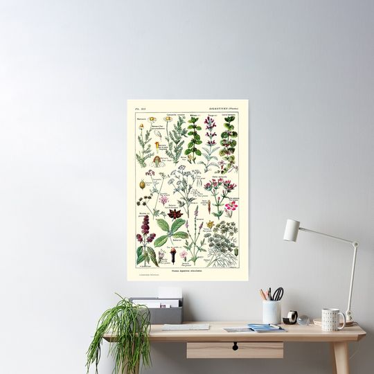 Discover Vintage Digestive Plants Larousse Print Adolphe Millot Poster