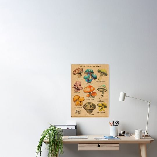 Discover Champignons of Hyrule Poster