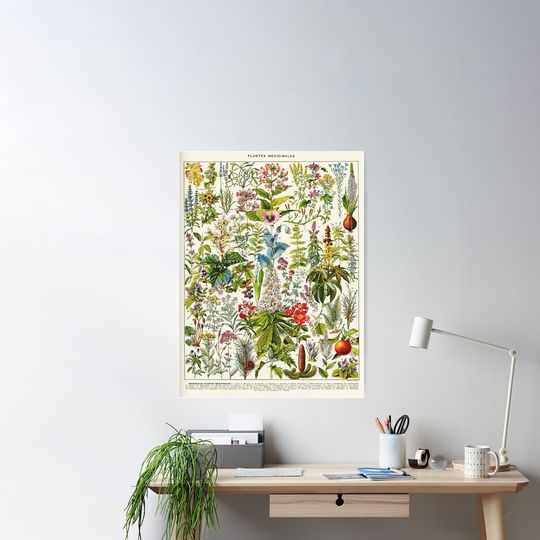 Discover Adolphe Millot - Vintage french botanical illustration Poster