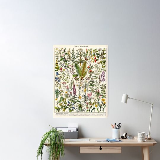Discover Adolphe Millot Vintage french botanical illustration Poster