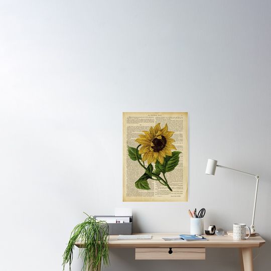 Discover Botanical print, on old book page - Sunflower  Poster