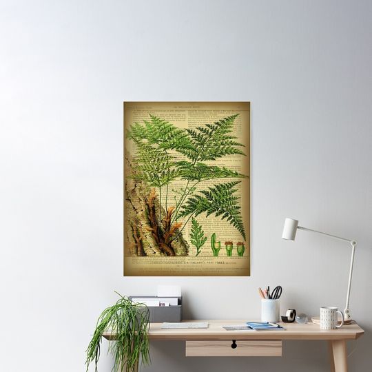 Discover Botanical print, on old book page - Fern Poster