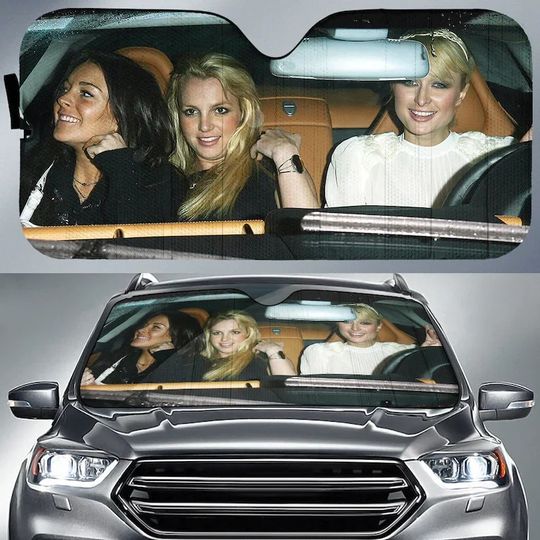 Discover Paris Britney Lindsay Heat Car Sun Shade auto Accessories