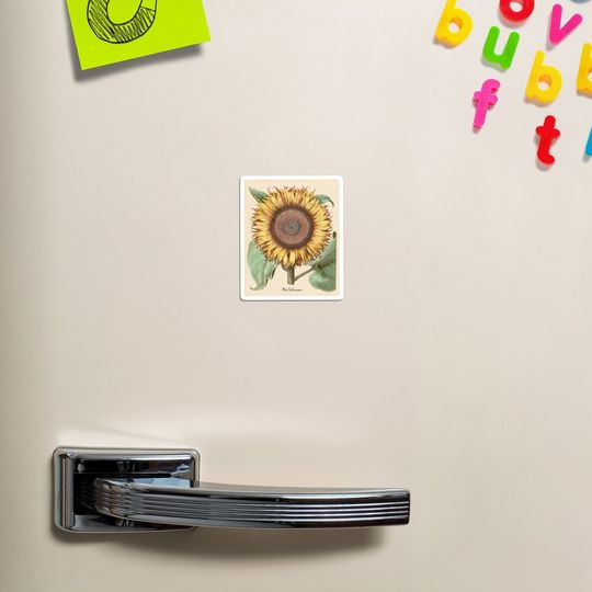 Discover Sunflower Botanical Magnet