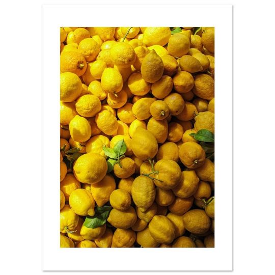 Discover Lemons On Shelf Premium Matte Vertical Poster
