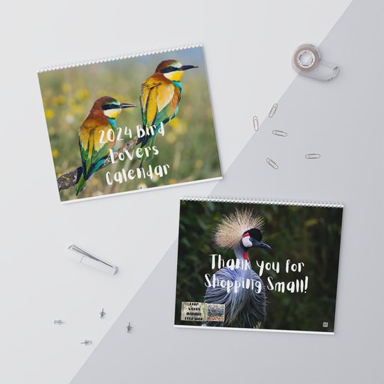 Discover Bird 2024 Calendar
