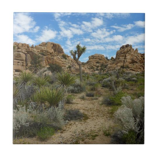 Discover Barker Dam Loop Trail at Joshua Tree National Park Ceramic Photo Tile