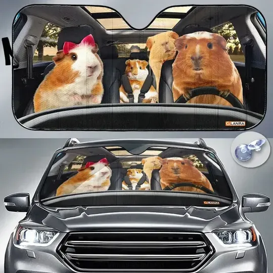 Discover Guinea Pig Car Windshield Sunshade