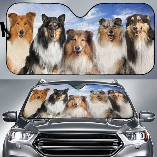 Discover Cute Rough Collies Blue Sky Pattern Car Sunshade