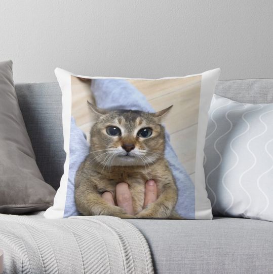 Discover Tole tole vro cat Pillow