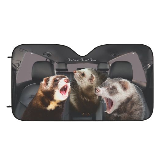 Discover Wild ferrets Car Sun Shades