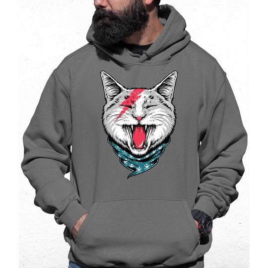 Discover Bandana Cat Colour Hoodie, Gft For Her, Gift for Him