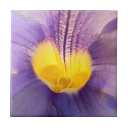 Discover Blue Skyflower Macro Ceramic Photos Tile